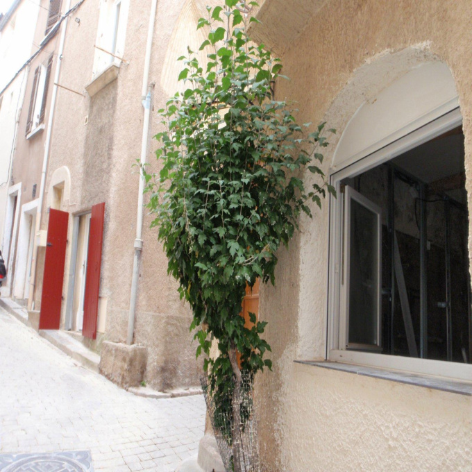 Offres de location Appartement Poussan (34560)