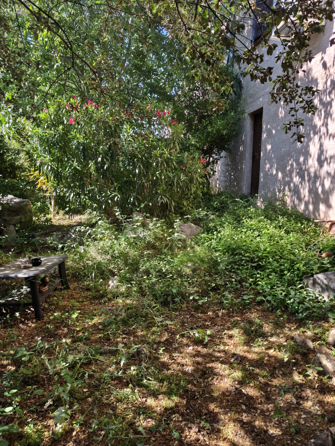 Offres de location Studio Castelnau-le-Lez (34170)