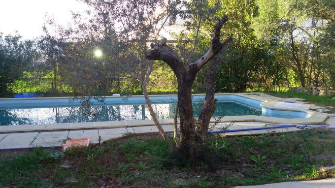 Offres de location Villa Jacou (34830)