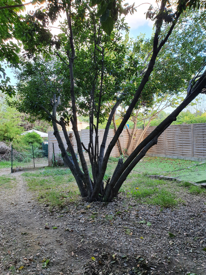 Offres de location Appartement Le Crès (34920)